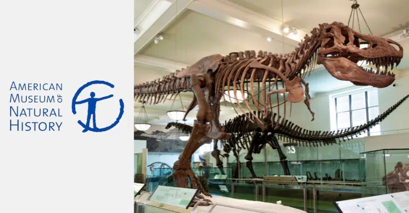 american museum of natural history
