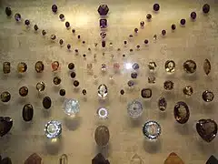 naturalhistory 2